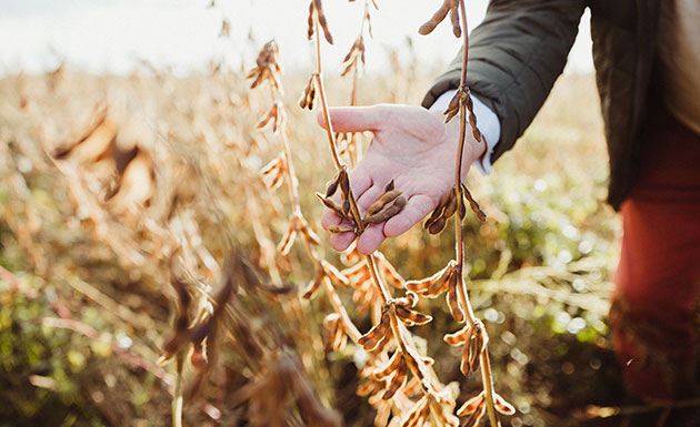 Nachhaltigkeitsteam NABA