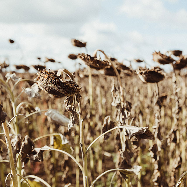 Produktion NABA Rohstoffe